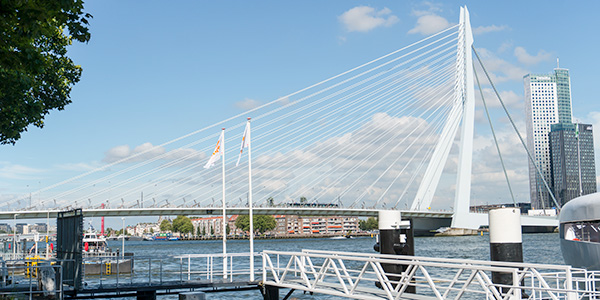 .Rotterdam Erasmusbrücke.